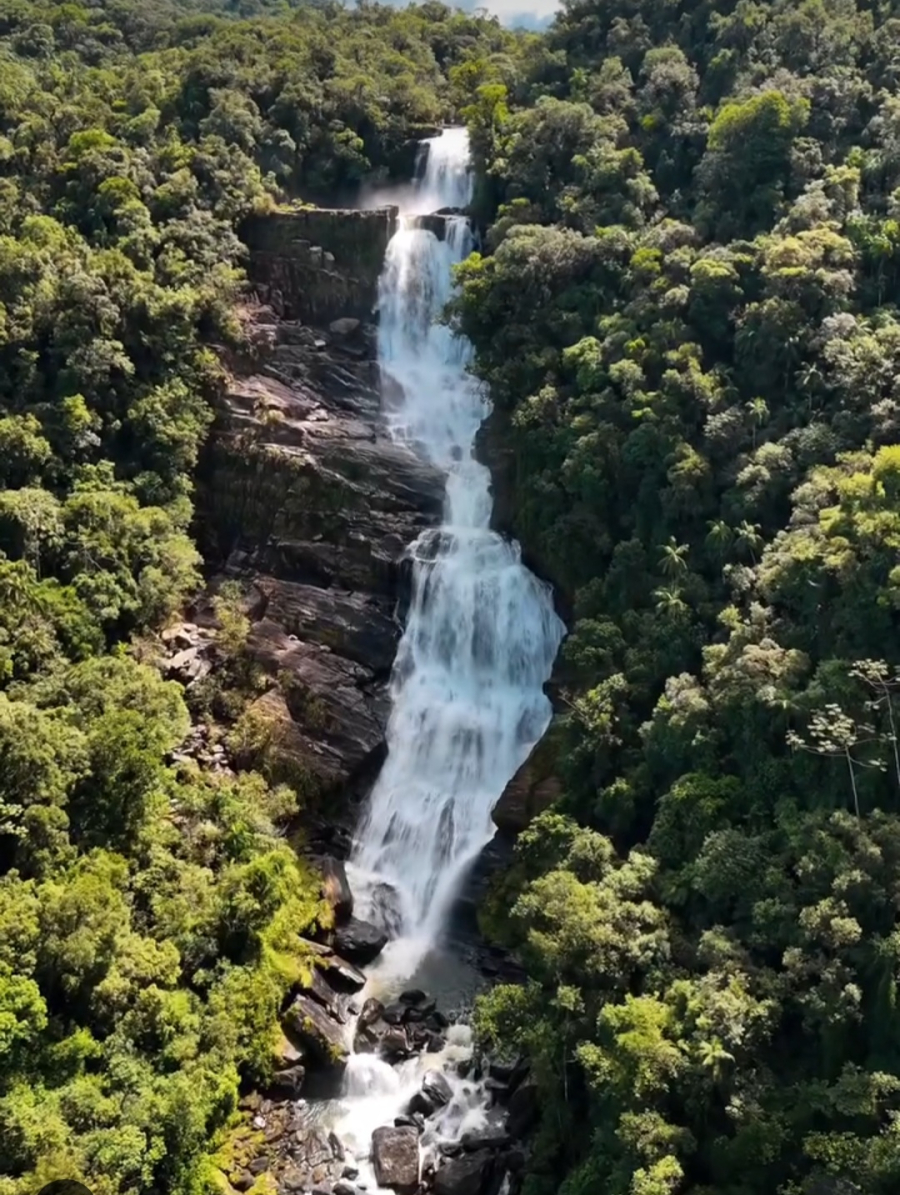 Cachoeira do Bracui 