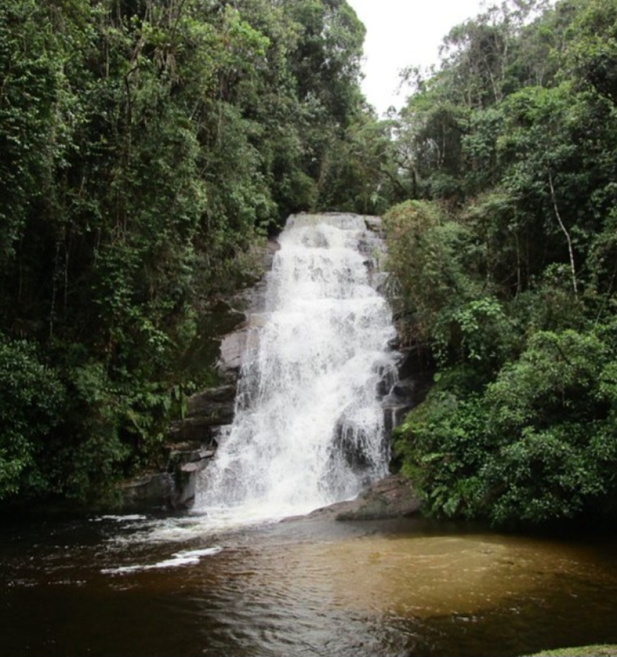 Estação Ecológica